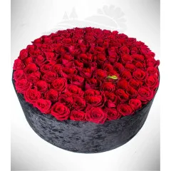 MEGARA - Dominican Republic