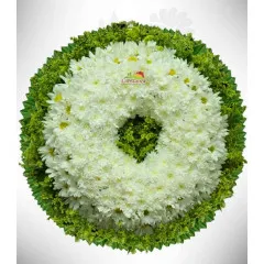 REST - Dominican Republic