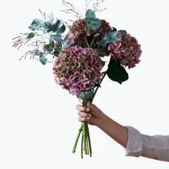 Hydrangea for Fall 240418 - Norway