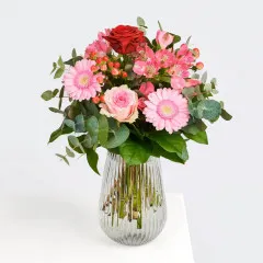 Tender confession - Czechia