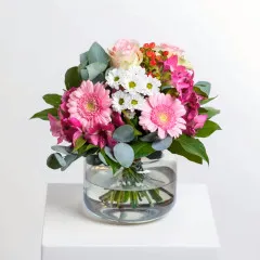 Warm words of thanks - Czechia