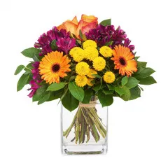 Messengers of optimism - Czechia