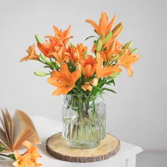 Sunset Sonata - India