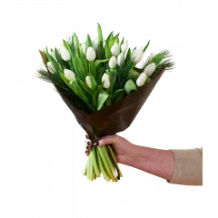 Christmas Tulips White 240518 - Norway