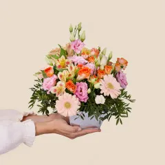 Burst of joy - France