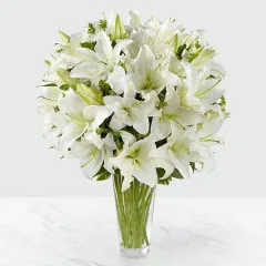 Spirited Grace - Bahamas