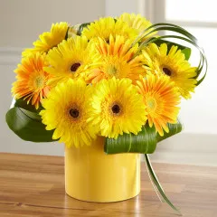 Sunny Surprise Arrangement - Bahamas