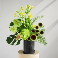 The Modern Eden - India