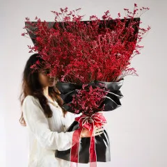 Scarlet's Embrace - India