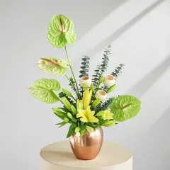 The Green Haven - India