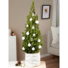 Christmas Shine - Germany