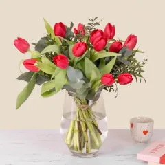 Bouquet of Red tulips - Spain