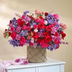 Crimson Crush - India