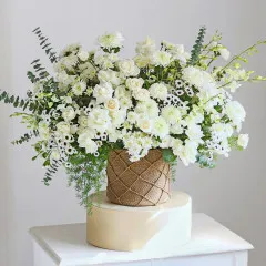 Daydreaming in White - India