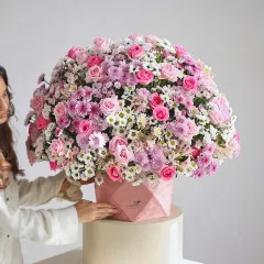 The Magnificent Kind - India