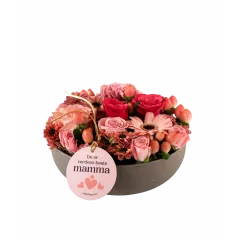 Love Mommy 240149 - Norway