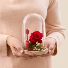 Eternal love - Amour eternel - France