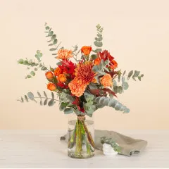 Winter flame - Spain