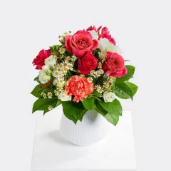 Because I Love You - Germany