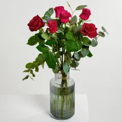 Time For Two - Germany