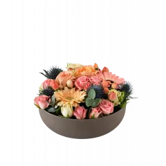 Winter Joy 240150 - Norway