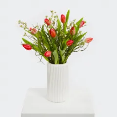 For a moment of surprise - Czechia