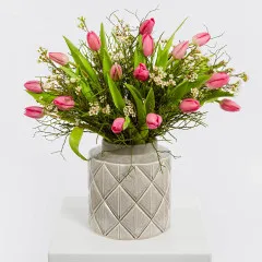 Pink Rhapsody - Czechia