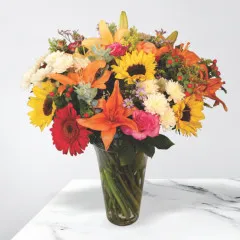 Carnival - South Africa