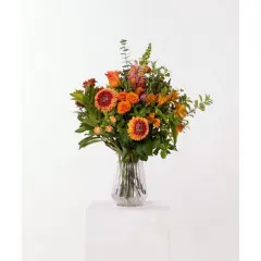 Golden Hour in Vase - New Zealand