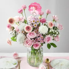 Graceful Soul - India