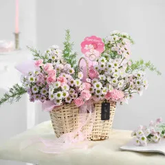 Her Santini Garden - India