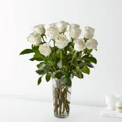 12 Long Stem White Rose Bouquet - Canada