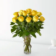 12 Long Stem Yellow Rose Bouquet - Canada