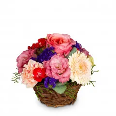 Melody of Color - Austria