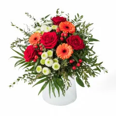 Liveliness - Finland