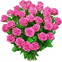 Kwiaty Różany poemat, bukiet 35 różowych róż z dostawą