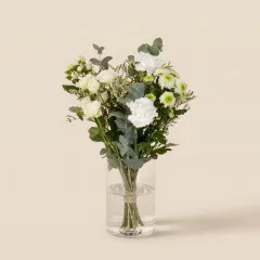 Gentleness - France