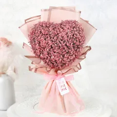 The Blushing Symphony - India