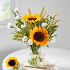 Pocketful of Sunshine - India