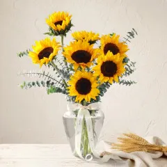 The Sunflower Edit - India