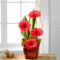 The FTD Instant Happiness Bouquet - Brazil