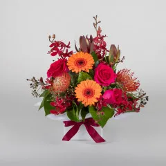 Fiesta Florals - Australia