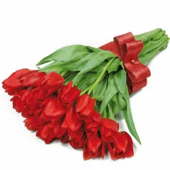 Bukiet 21 czerwonych tulipanów ze wstążką, Kwiaty Amorek