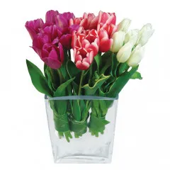Three Shades of Love, tulips in a vase, tulips in three colours