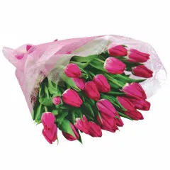 Flowers my love,  bouquet of tulips, 25 pink tulips