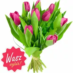 9 różowych tulipanów w bukiecie, Bukiet 9 różowych tulipanów