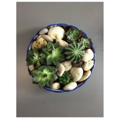 Aranżacja roślin - SRA Makau (Chiny)