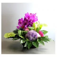 Aranżacja różowych ciętych kwiatów - SRA Makau (Chiny)