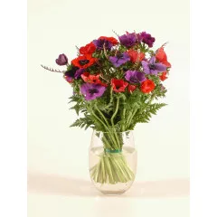 Bukiet Anemony - Izrael