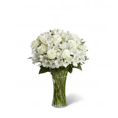 Dla ukochanego przyjaciela - Palau